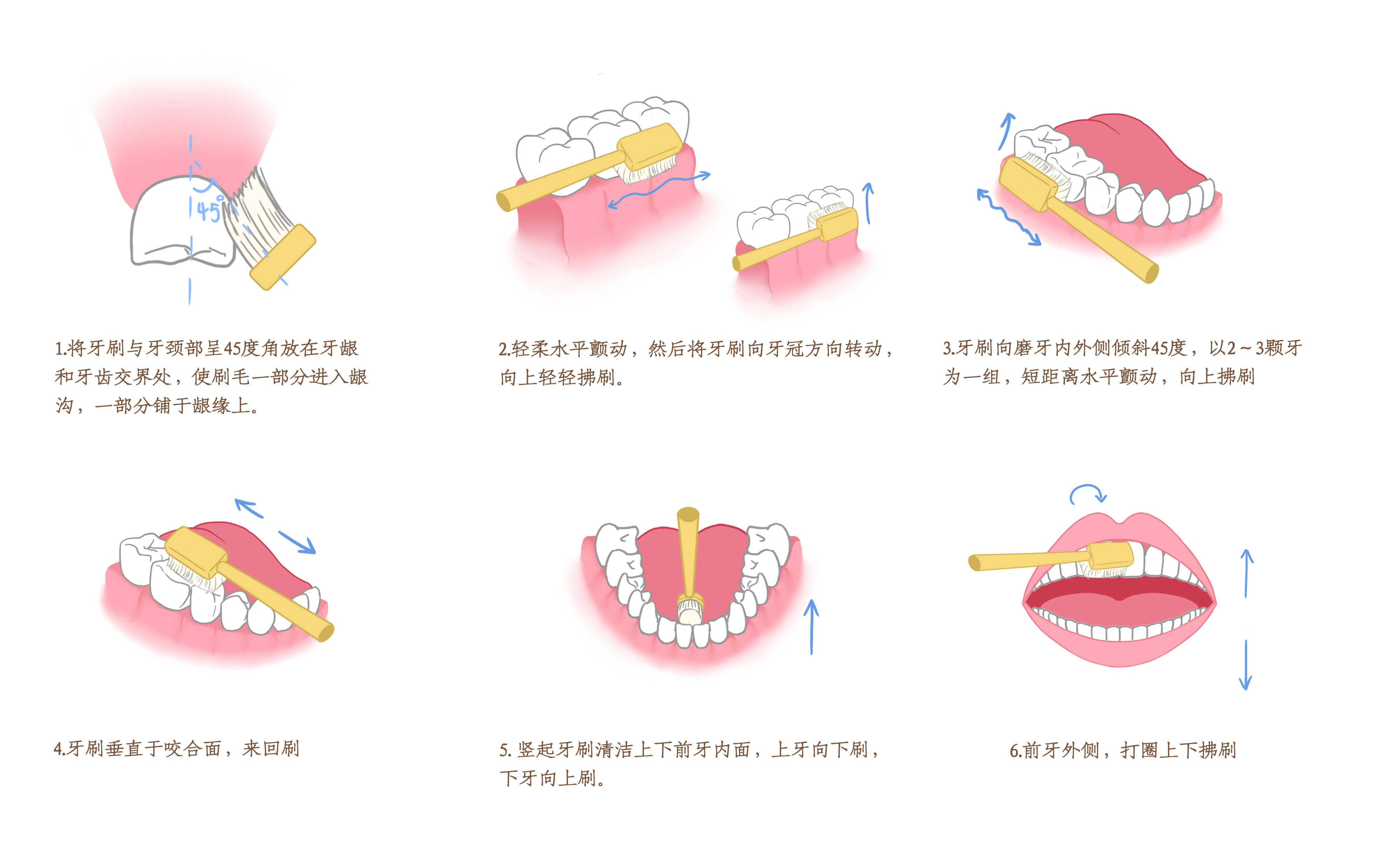 刷牙科普.jpg